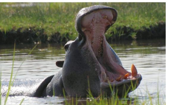 D9202209-29CA-4821-B5CF-367AAF160E66