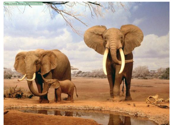 DCF5B384-A880-4783-9986-B810008642C6